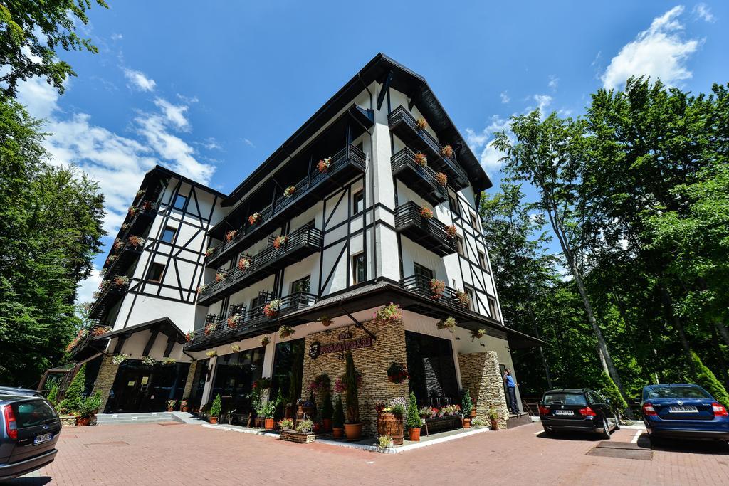 Hotel Posada Vidraru Căpăţîneni-Ungureni Exterior foto